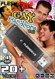 20+ Gay Hardcore Vol. 1 Videos On 4gb Usb Fleshdrive (114267.497)
