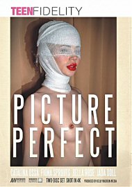 Picture Perfect (2 DVD Set) (2021) (214609.96)